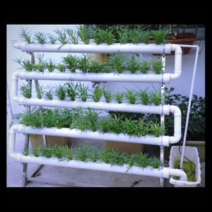 Horticulture Hydroponic indoor plant garden